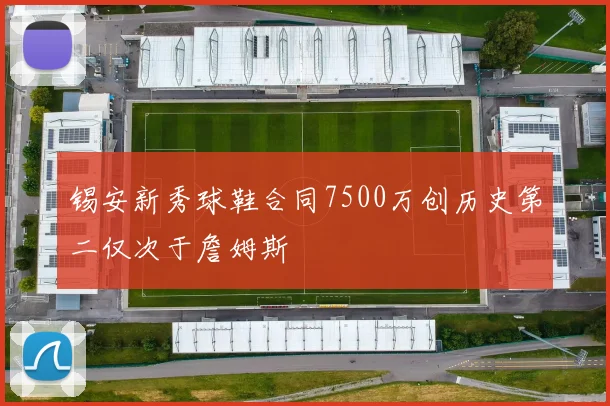 锡安新秀球鞋合同7500万创历史第二仅次于詹姆斯